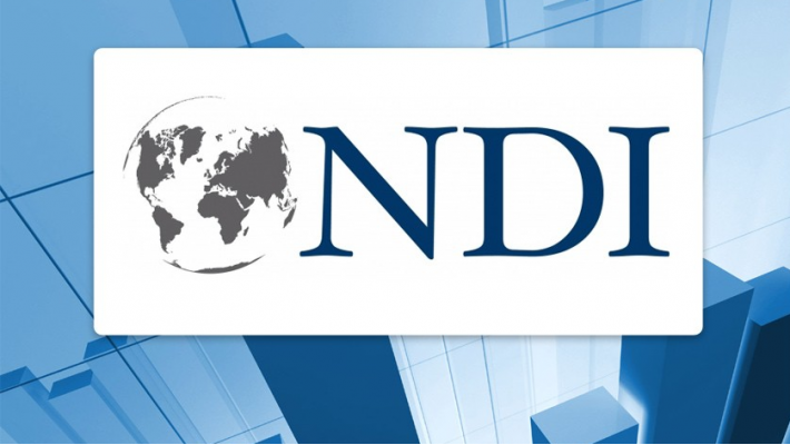 NDI observer delegation published its preliminary statement