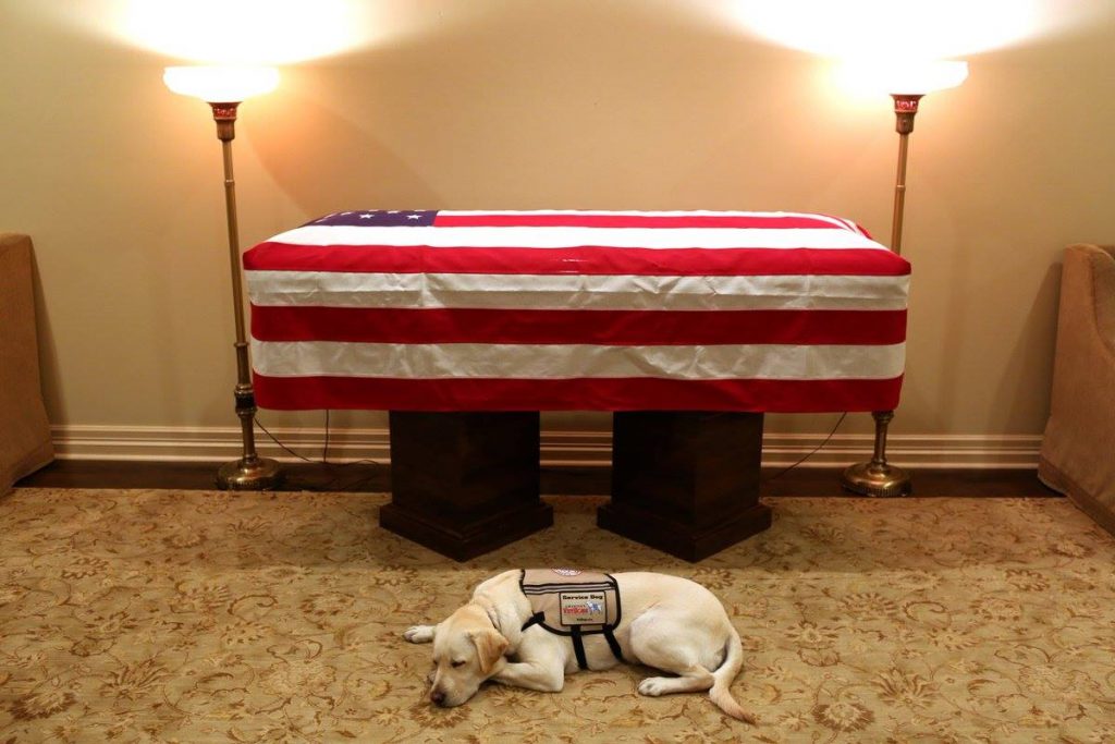 "Миссия выполнена" - Служебная собака по кличке Салли проводит бывшего президента Джорджа Буша в последний путь