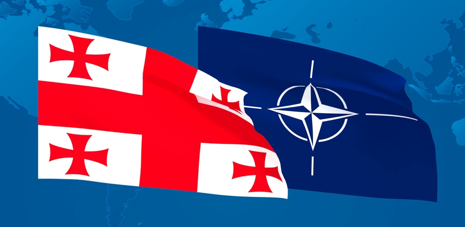 На заседании комиссии НАТО-Грузия-Украина говорили о вопросе предоставления Грузии MAP