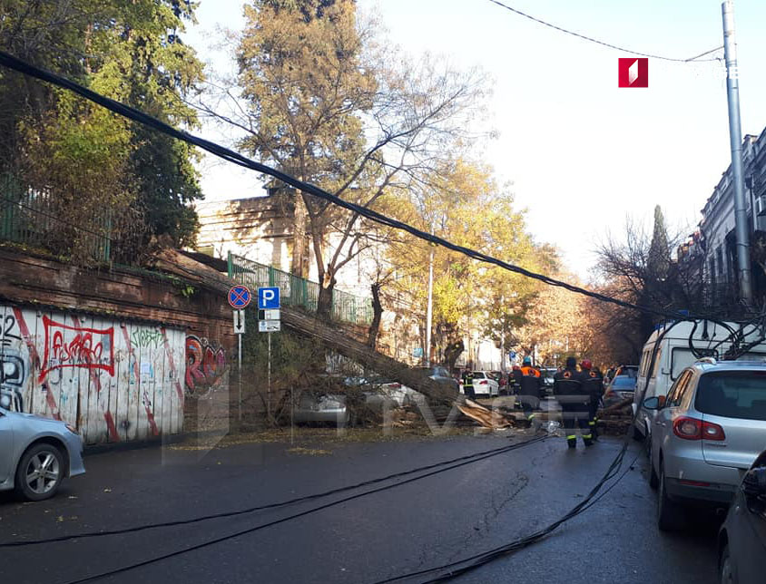Թբիլիսիում, Շալվա Դադիանիի փողոցում ծառն ընկել է ավտոմեքենաների վրա