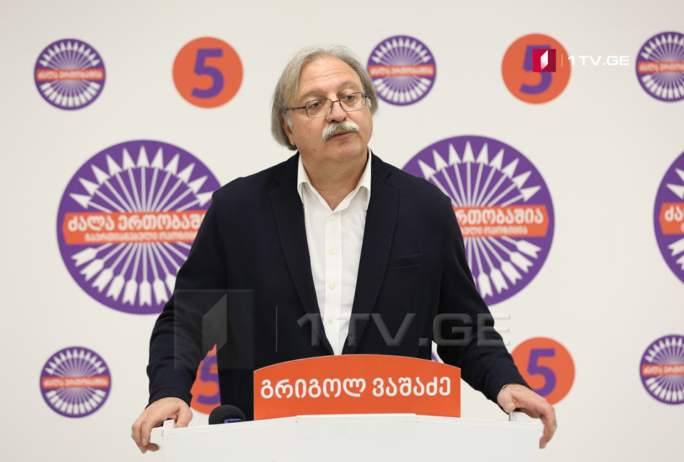 Grigol Vashadze: Opposition plans to hold permanent protest rallies starting from tomorrow