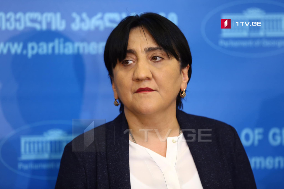 Ирма Инашвили – Обращаюсь к следственным органам расследовать, насколько реальны голоса, полученными «Национальным движением» во втором туре