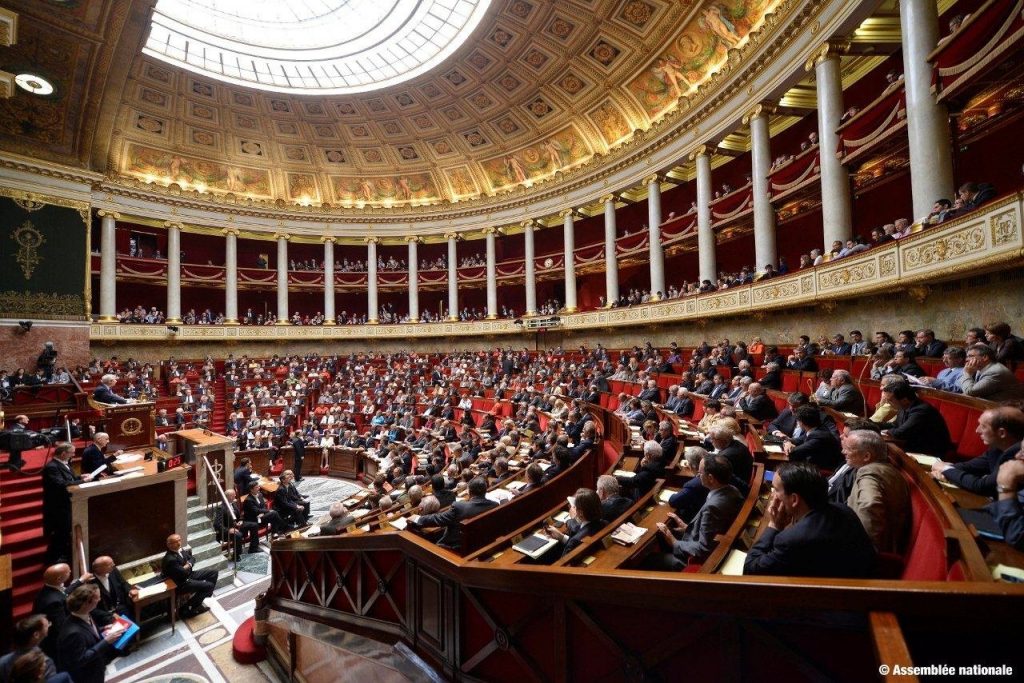 Франция приняла законопроект, который наделяет судью правом немедленно удалить фальшивые новости, распространённые во время избирательной кампании