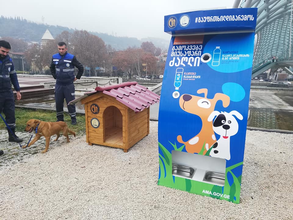 Feeding devices placed for homeless dogs in Tbilisi (Photo)