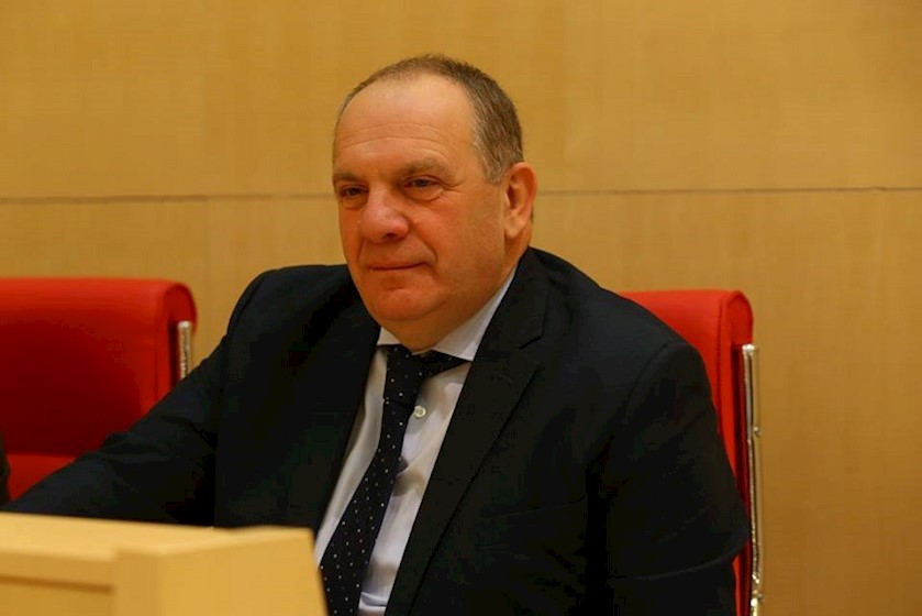 Первым заместителем парламентского комитета во вопросам диаспор и Кавказа избран Гиви Чичинадзе