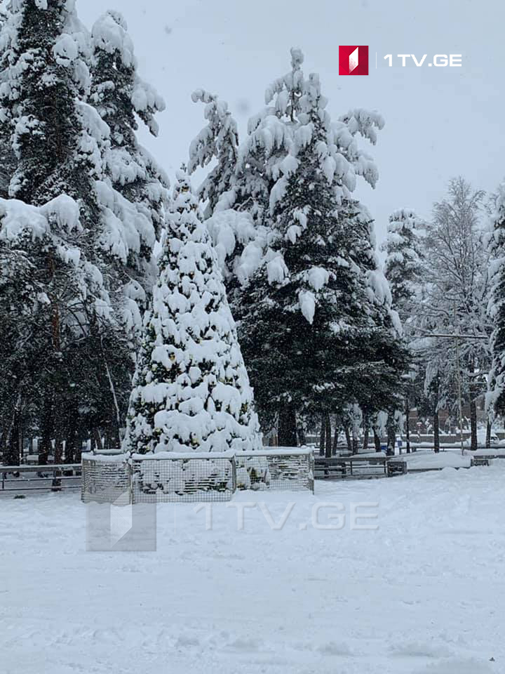Վրաստանի բարձրալեռ շրջաններում դեկտեմբերի 28-29-ին ուժգին ձյուն կտեղա, որը հնարավոր է դառնա ձնակույտի պատճառ