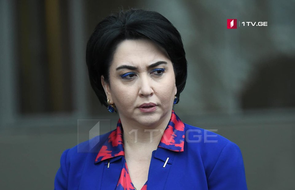 Эка Беселия покинула должность председателя комитета по юридическим вопросам