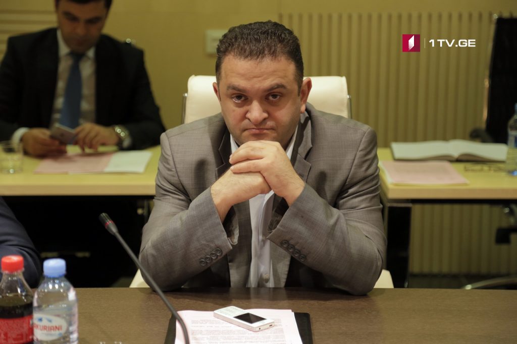 Гедеван Попхадзе покидает должность первого заместителя председателя парламентского комитета по защите прав человека
