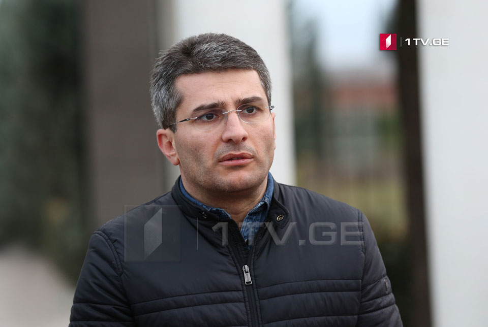 Mamuka Mdinaradze: We have not talked about expulsion of anybody or any sanctions