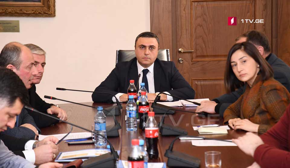 Davit Matikashvili elected as acting Chairman of the Legal Issues Committee