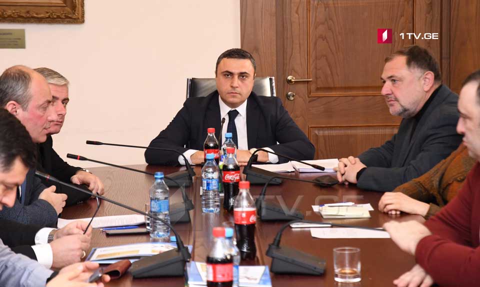 Исполнять обязанности председателя комитета по юридическим вопросам будет Давид Матикашвили