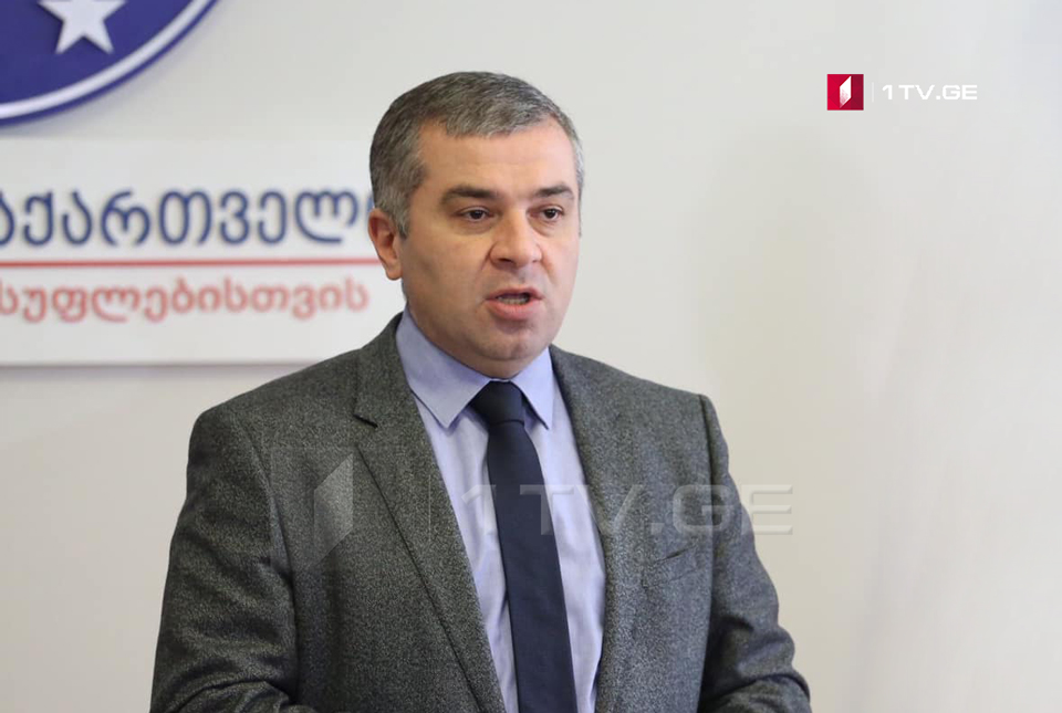 Давид Бакрадзе – Заявление Карасина является продолжением той цепочки, которую ведет Россия, чтобы внести в дестабилизацию в грузинское общественное мышление