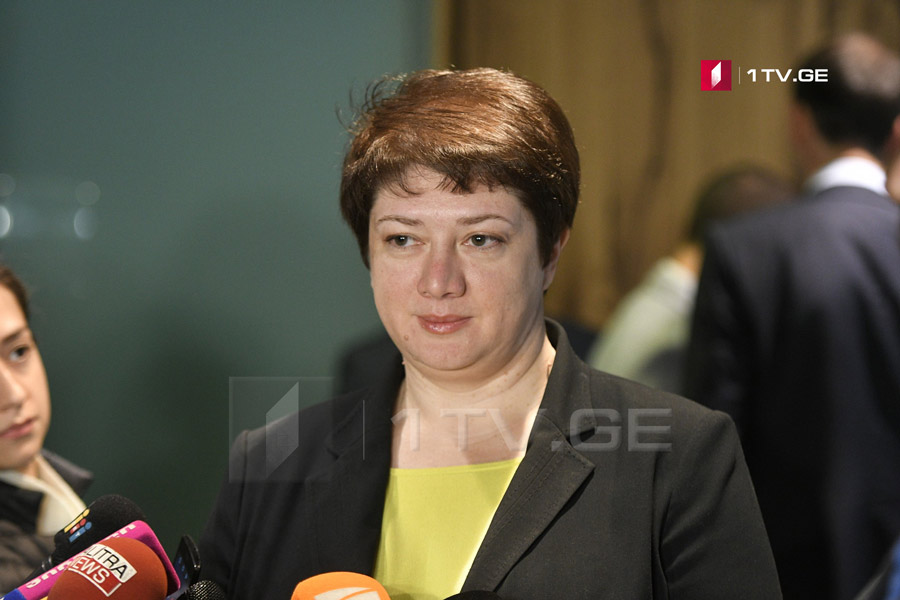 Майя Цкитишвили – Нет ни ожиданий, ни необходимости изменений в правительстве