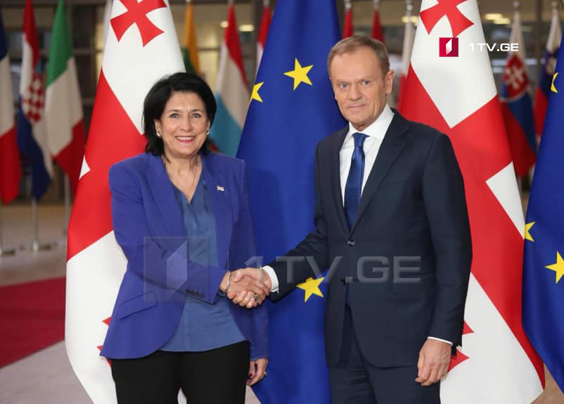 Georgian President meets with President of European Council in Brussels