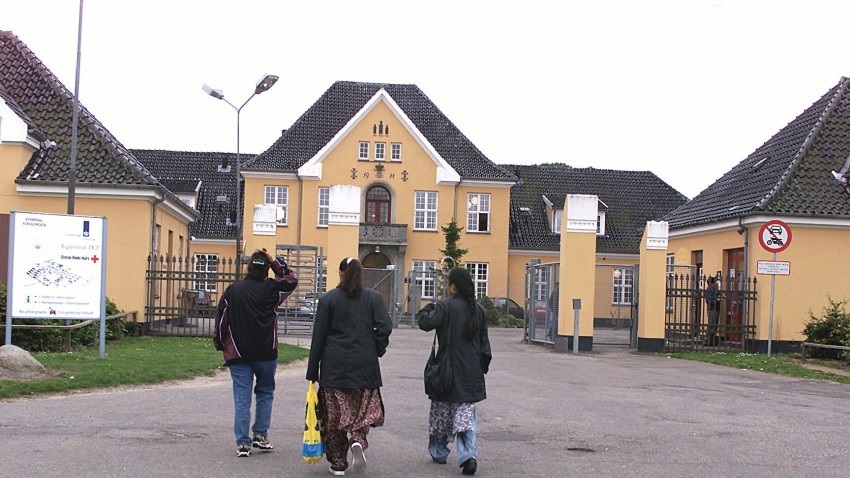 Граждане Грузии занимают третье место по количеству соискателей убежища в Дании