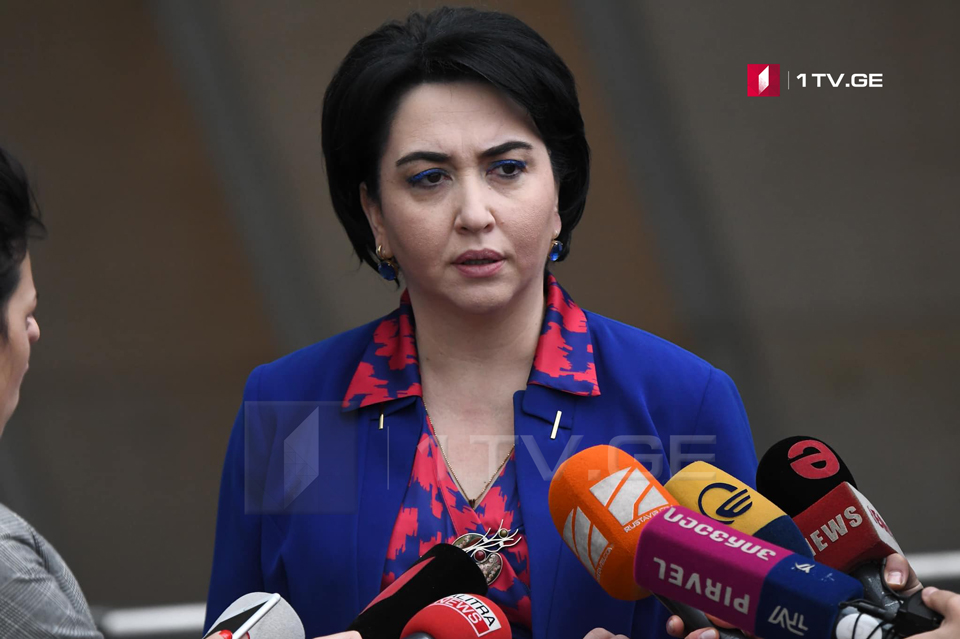 MP Eka Beselia plans to raise 4 issues at today’s meeting of parliamentary majority