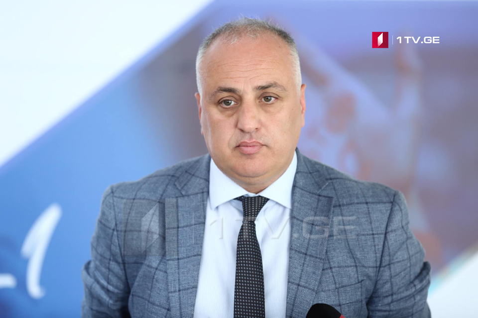 MP Dimitri Khundadze - The meeting with Bidzina Ivanishvili was productive