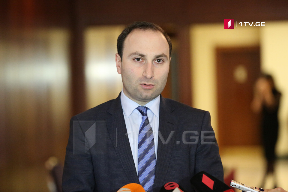 Парламентское большинство официально представило кандидатуру Анри Оханашвили на должность председателя комитета по юридическим вопросам