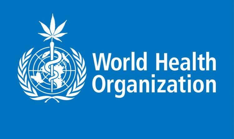 World Health Organization recommends cannabis rescheduling
