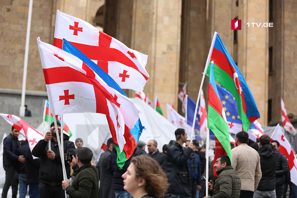 Представители разных общин проживающих в Грузии провели акцию протеста перед парламентом в Тбилиси