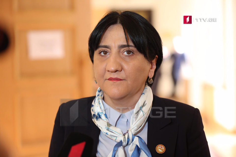 Ирма Инашвили – Пусть назначат меня Главным прокурором на неделю и я обещаю грузинскому народу, что задержу Саакашвили