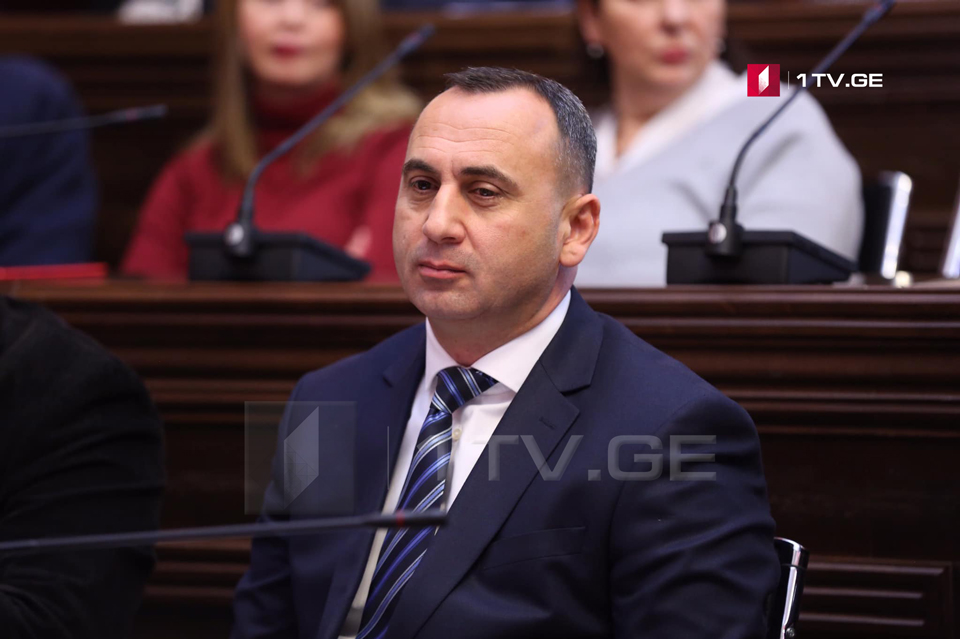 Расходы на автомобили Давида Усупашвили и Давида Бакрадзе покроет парламент