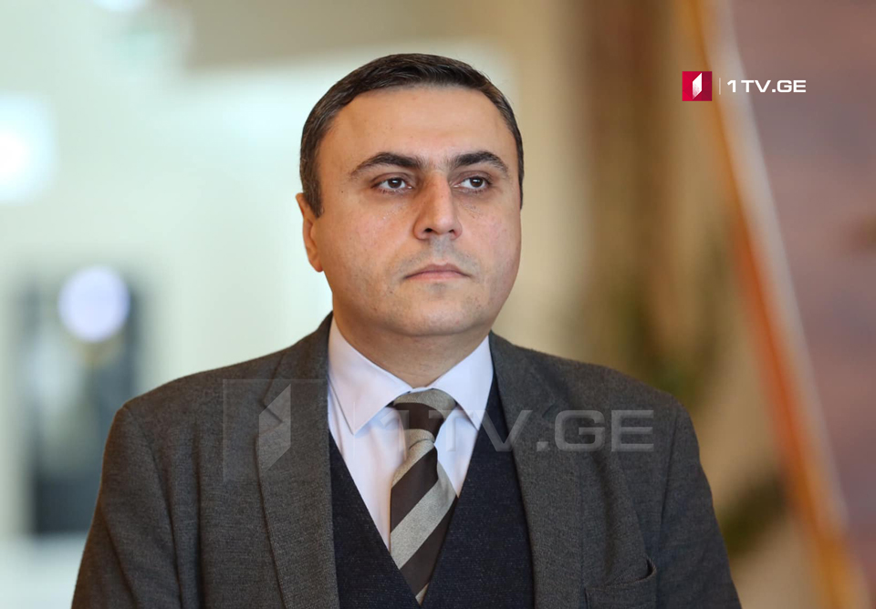 Davit Matikashvili elected as First Deputy Chairperson of Legal Affairs Committee