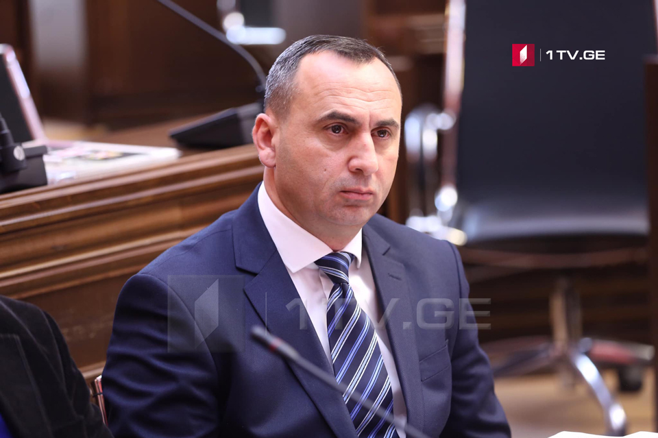 Завтра в парламенте Грузии заслушают Анзора Чубинидзе