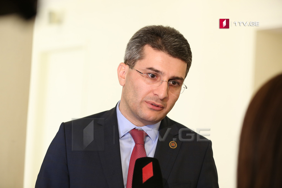 Mamuka Mdinaradze calls on youth organization of Georgian Dream to avoid physical confrontation