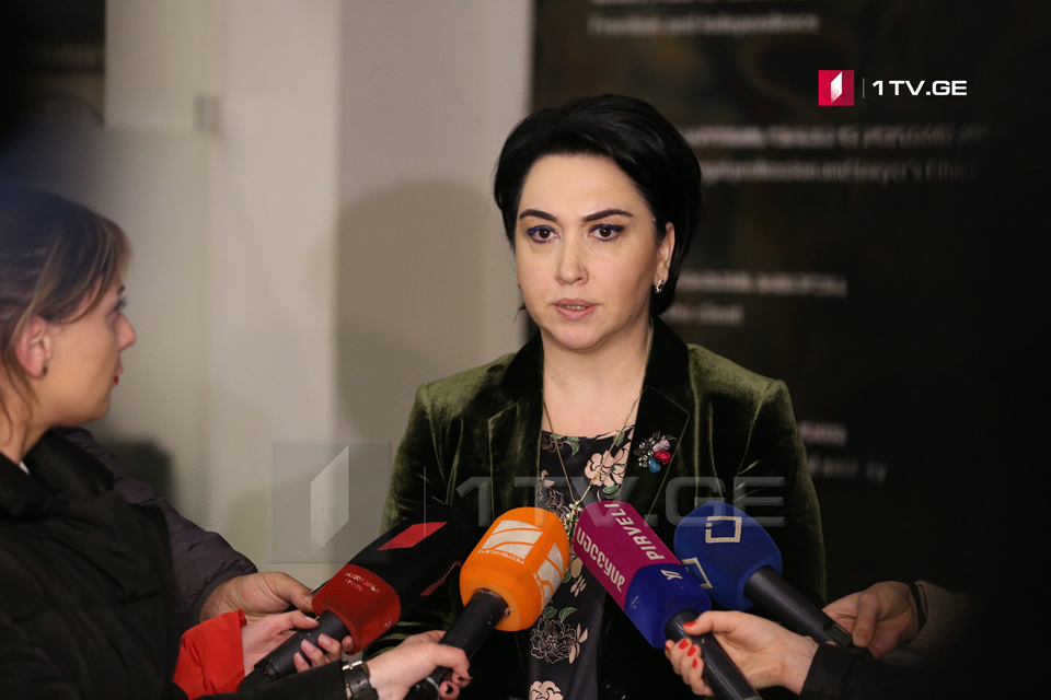 Эка Беселия - Тест конституционности устанавливает Конституционный суд, а не Анри Оханашвили или кто-то еще