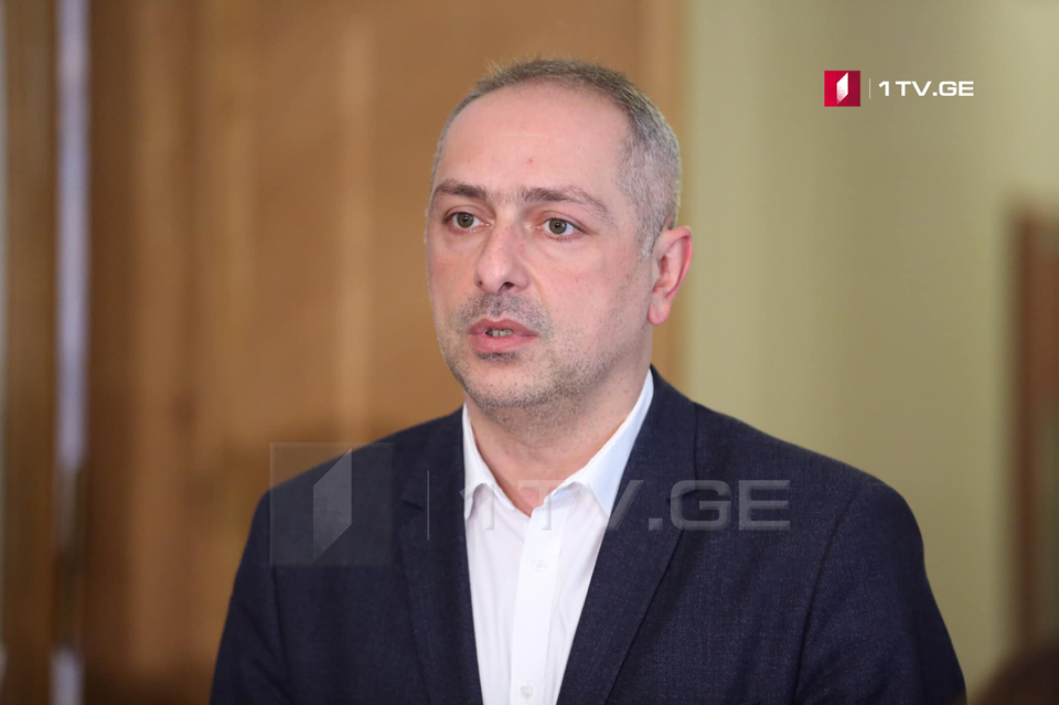 Ираклий Сесиашвили - Надежная и мирная обстановка в Грузии не должна входить в интересы России