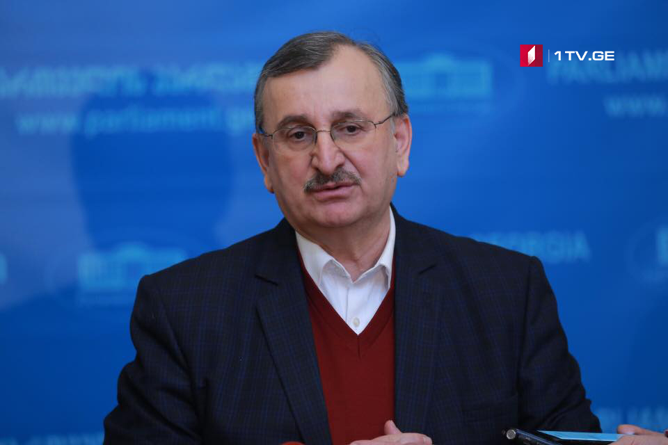 Роман Гоциридзе – Вопрос создания временной следственной комиссии по делу Темирлана Мачаликашвили будет рассматриваться на этой неделе