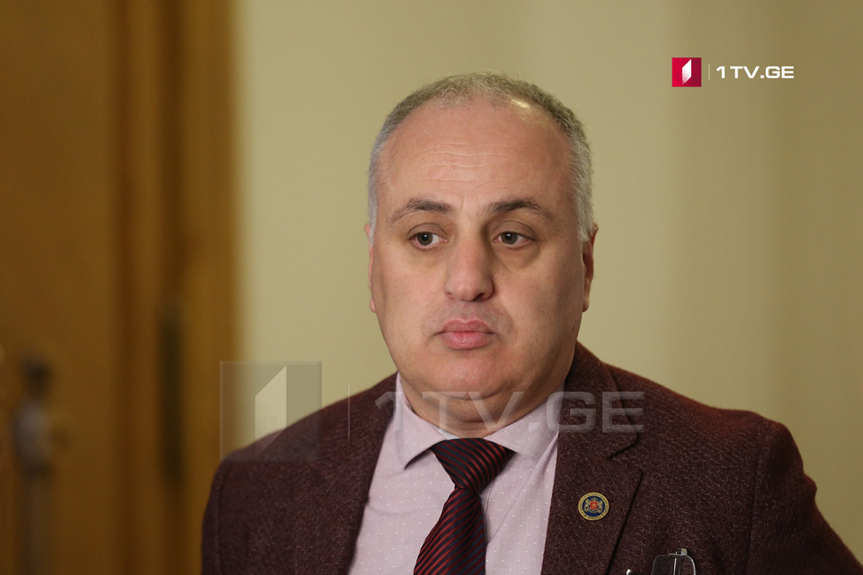 Dimitri Khundadze – If Irakli Gharibashvili returns to party, it will be a serious backup