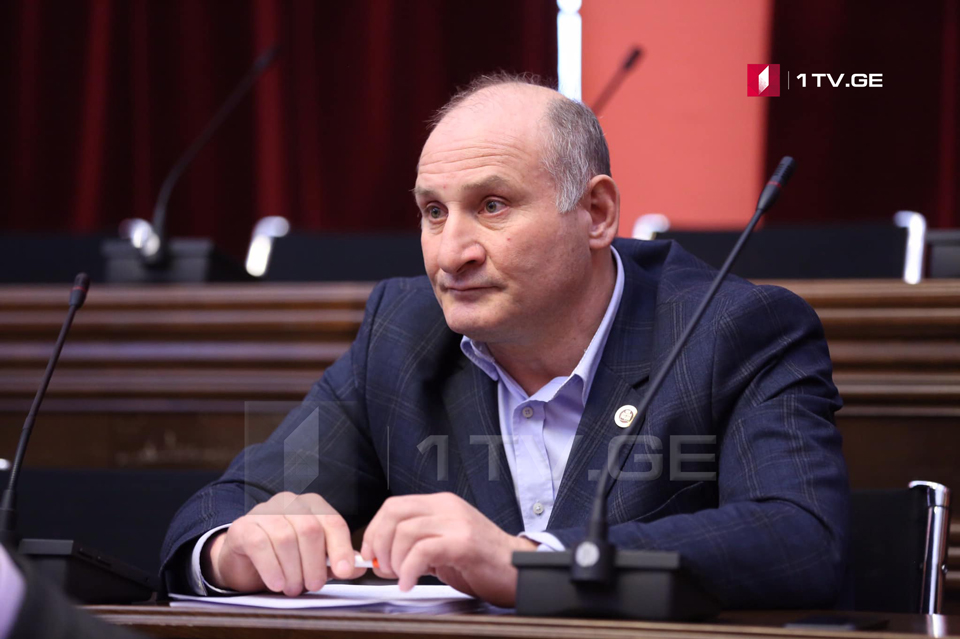Законопроект Эмзара Квициани «Об искоренении всех форм дискриминации» провалился в парламенте