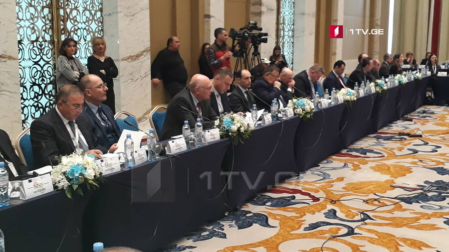 Опыт Грузии по борьбе с мраморным клопом обсуждают на международной конференции в Тбилиси