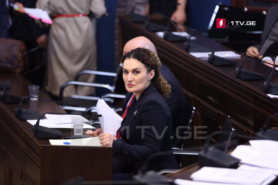 В парламенте сегодня заслушают Кетеван Цихелашвили