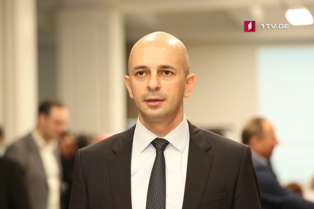 Георгий Микаутадзе расценивает требование «Европейской Грузии» вмешательством в деятельность Высшего совета юстиции