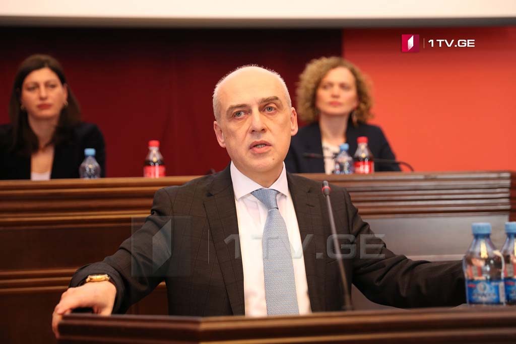 David Zalkaliani presented foreign policy strategy at a joint sitting of Committees
