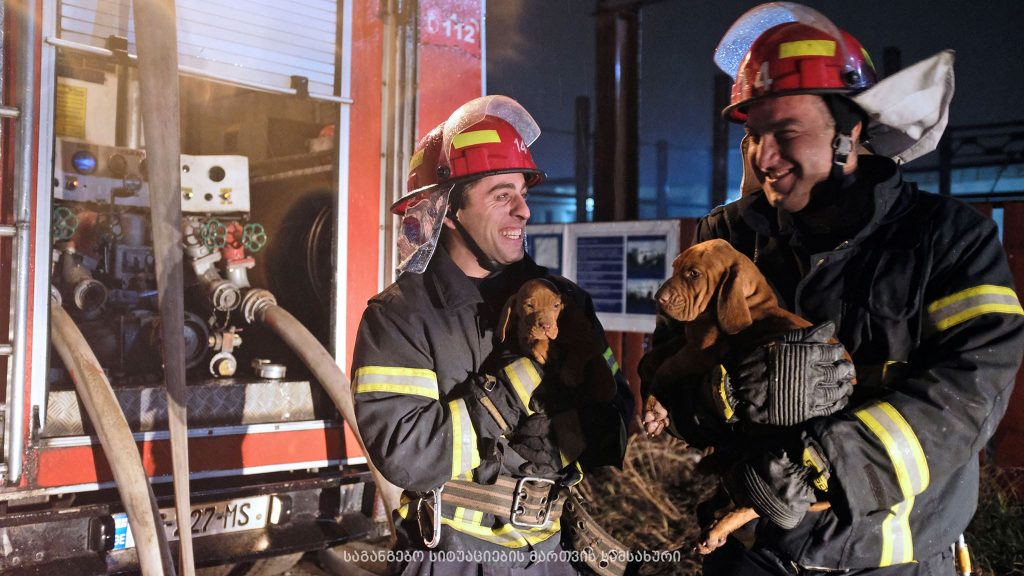 Пожарные-спасатели вызволили из горящего склада щенков