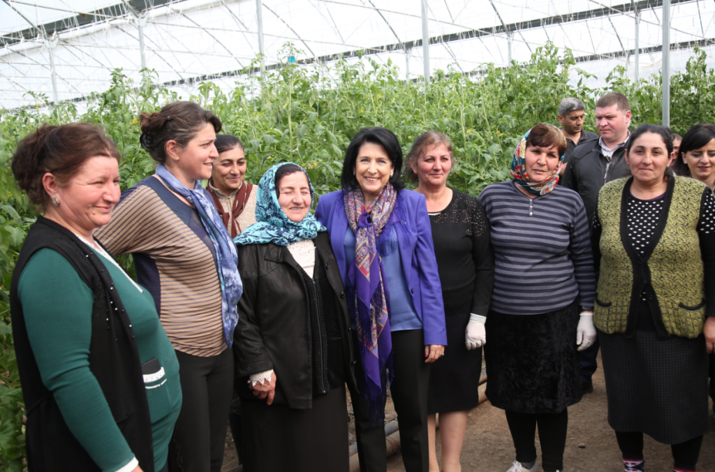 Президент Грузии посетила в Квемо Картли тепличные хозяйства