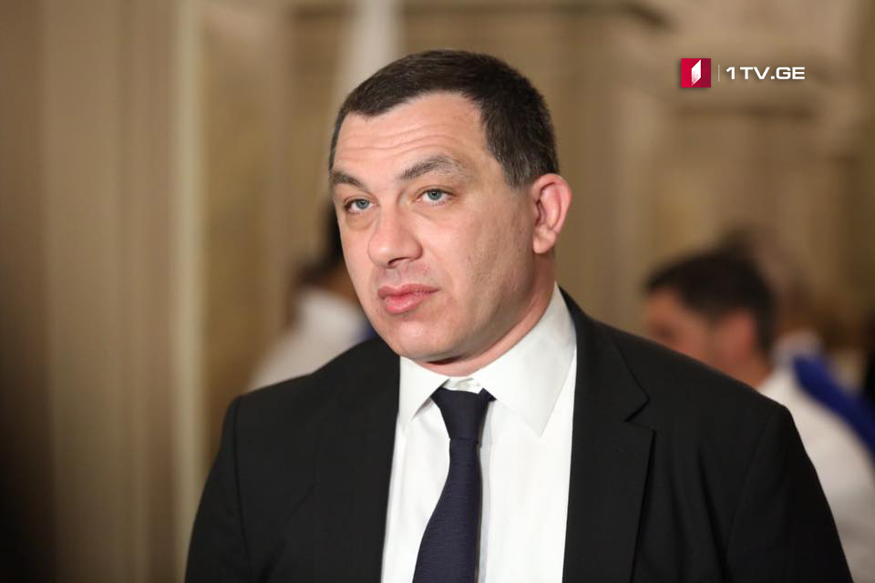 «Европейская Грузия» вызывает Георгия Гахария и Натию Турнава в парламент в связи с процессами в Панкиси