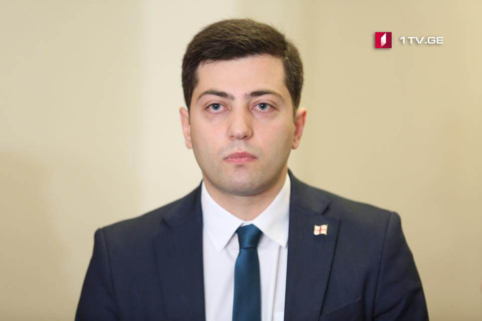 Заза Габуния – Парламент Грузии начинает работать над стратегией децентрализации