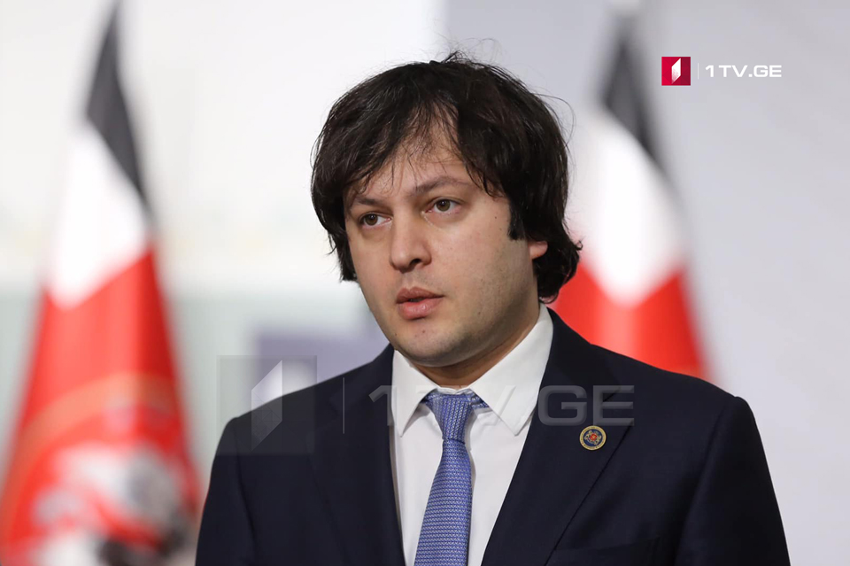 Irakli Kobakhidze - Highlighting issue of delimitation and demarcation cannot be considered a problem