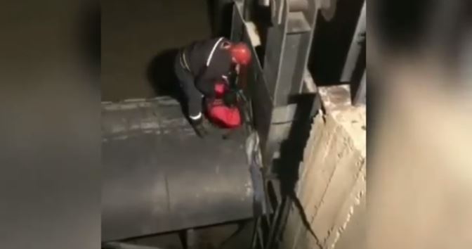 В Кутаиси пожарные-спасатели пришли на помощь собаке застрявшей под мостом (видео)