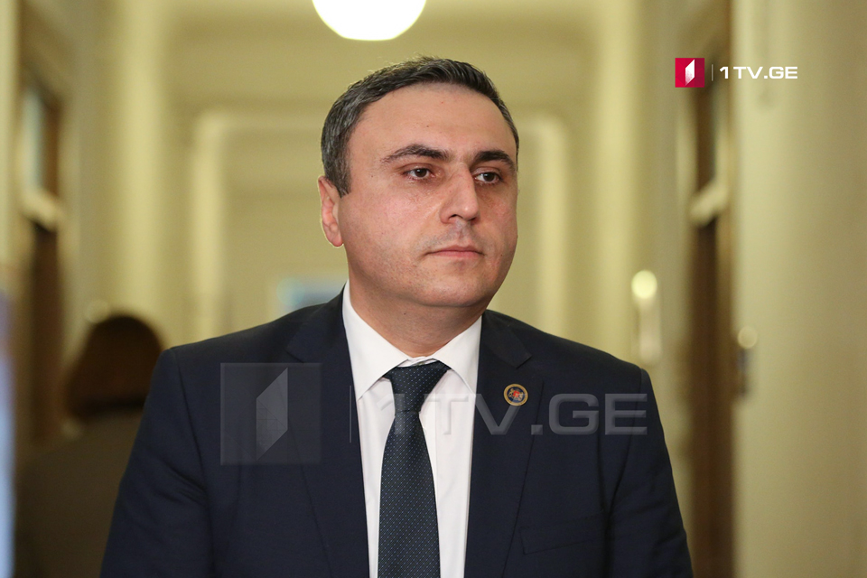 Давид Матикашвили - Требование о легализации проституции не соответствует Конституции