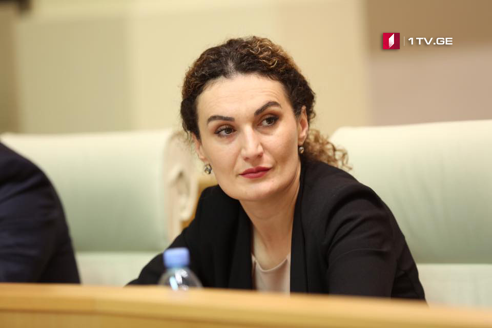 19 апреля в рамках "министерского часа" в парламенте заслушают Кетеван Цихелашвили