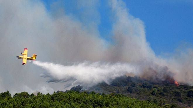 В Италии двух студентов оштрафовали на 13 миллионов евро из-за лесного пожара