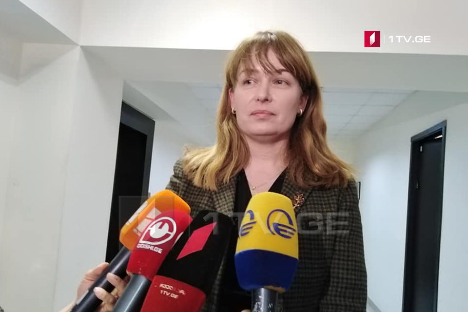 Sandra Roelofs denies confrontation in Zugdidi election headquarters