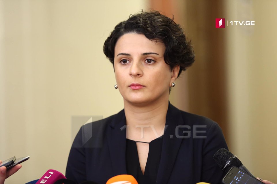 Натия Мезвришвили - Не знаю, кто является рыцарем, но реагирование в отношении тех, кто поднимет руку на полицейского, будет строгим