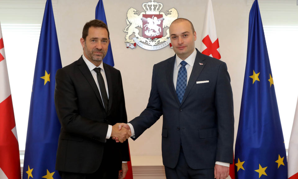 Мамука Бахтадзе принял министра внутренних дел Франции